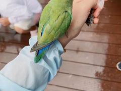 -燕塞湖鸟语林景区