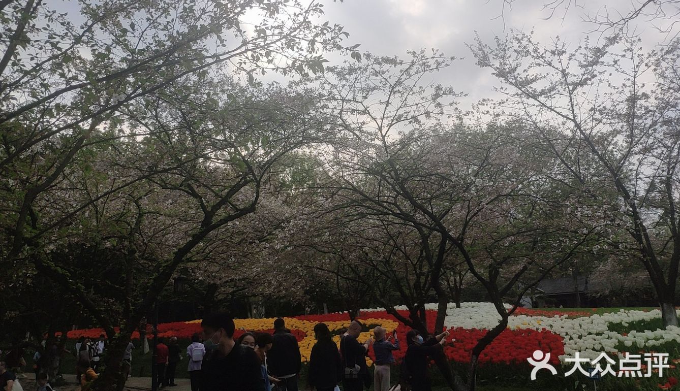 今天的太子灣公園因為預約入園所以不見平時的人擠人