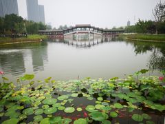 -西海子公园