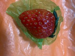 -PAGODA百果园(湛江城市美林店)