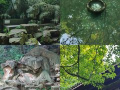 -虎跑公园