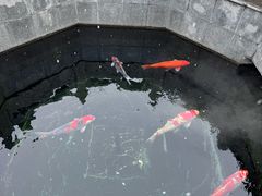-西安市广仁寺