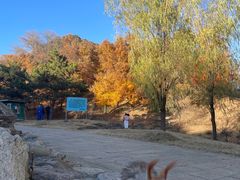 -承德避暑山庄景区