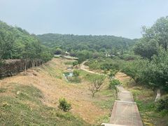 -龙寺生态园