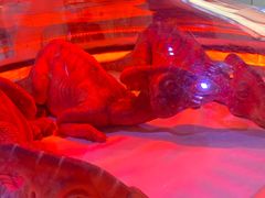 -侏罗纪世界电影特展(广州站)