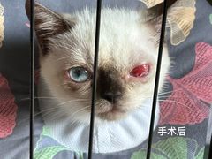 -佳佳动物医院