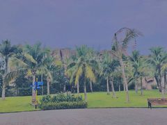 -芽庄珍珠岛游乐园