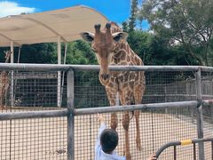 -泉州海丝野生动物世界