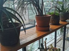 靠窗位-半山腰·云南菜(侨福芳草地店)