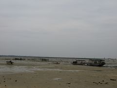 -北海金海湾红树林生态旅游区