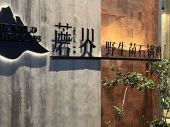 -蘑界·野生菌火锅(深业上城店)