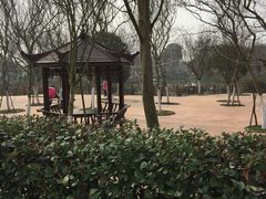 -武汉紫薇都市田园