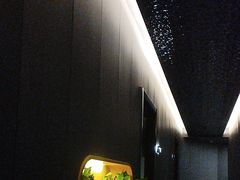 -梵猫·新养生(加州广场店)