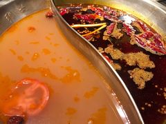 番茄鸳鸯-小龙坎火锅(华凌店)