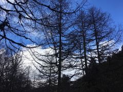 -黄龙山原始森林景区
