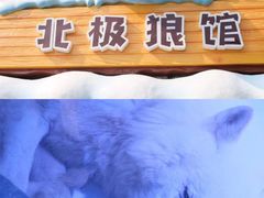 -海合安成都极地海洋公园