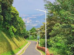 -黄埔油麻山森林公园