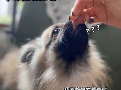 -铁炉咖啡(河下古镇店)