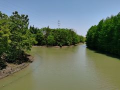 -上海海湾国家森林公园