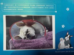 -美联众合动物医院·24h转诊中心