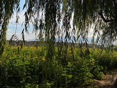 -阿坝州汶川特别旅游区