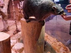 -正佳雨林生态植物园