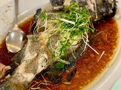 -东豪园林海鲜酒家(南港路辅路店)
