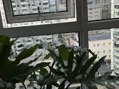 -壹点灵·心理咨询中心(中山公园店)