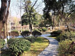 -月湖风景区