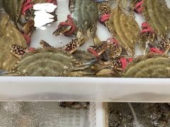 -青石桥市场北1-27号