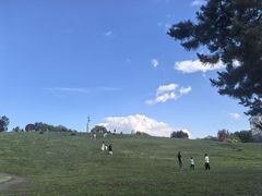-莫子山公园
