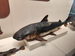 -天津自然博物馆