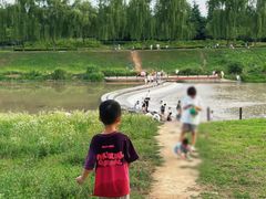 -洨河生态公园