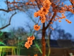 -和平门菜市场