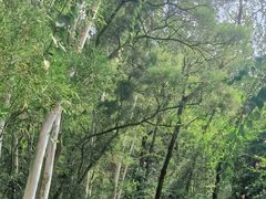 -深圳国际园林花卉博览园