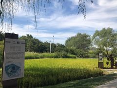 -北坞公园