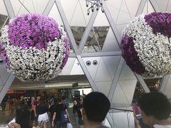 -云海肴(星耀樟宜店)