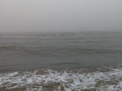 -北戴河圣蓝海洋公园