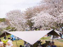 -苏州上方山国家森林公园