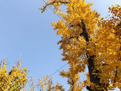 -百林公园-两江幸福广场