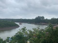 -东寨港红树林旅游区