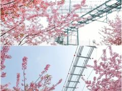 -白沙门生态公园