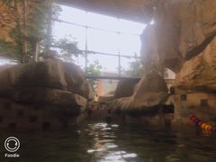 -汤泊温泉度假村