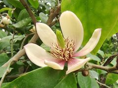 -国家植物园南园