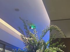 -柿合缘新京菜(国金中心商场店)