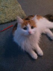 -梵初·STUDIO婚纱摄影(通州万达店)