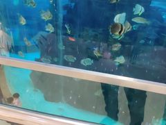 -鸿通城购物中心