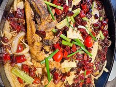 -老板恋上鱼(恒隆广场店)