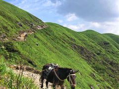 -萍乡武功山风景名胜区