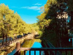 -洛阳白云山景区